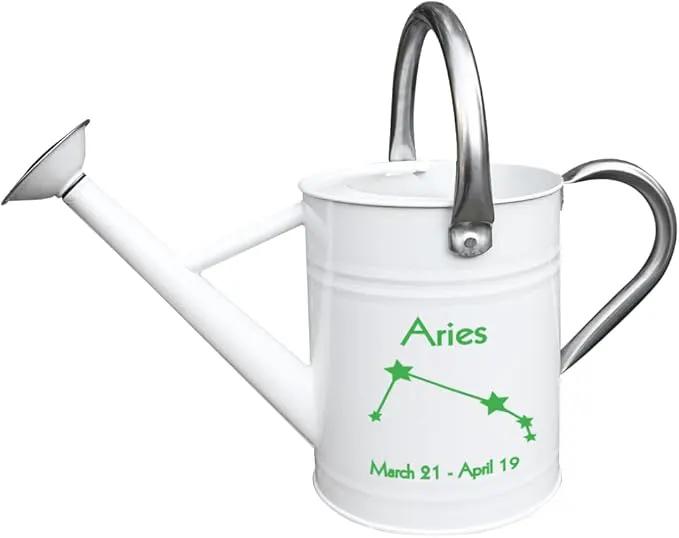Metal Watering Can for Outdoor and Indoor Plants, Watering Can Decor, 1 Gallon (Aries) by GreenHaven Gardens