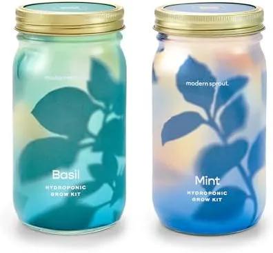 Modern Sprout Mason Garden Jar - Self-Watering Hydroponics Growing System Kit with Organic Herb Seeds - Jar Planter for Indoor Herb Garden - Seed Starter Kit - Home Decor & Gifting - Basil+Mint by GreenHaven Gardens