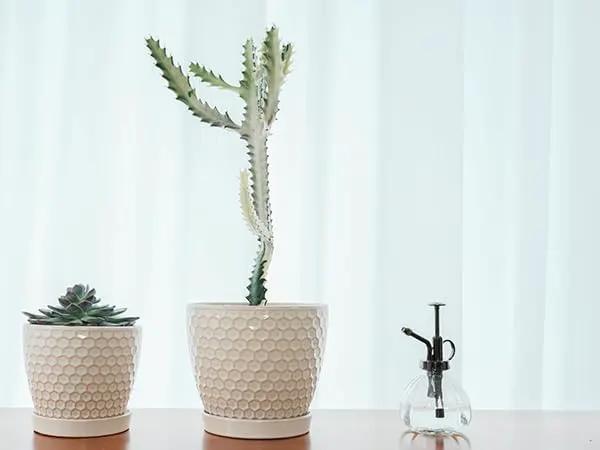 Docrin Ceramic Plant Pots Indoor: 6.6 + 5.5 Inch Planters with Drainage Holes and Saucer for Home/Office - Set of 2 /Milky White Honeycomb by GreenHaven Gardens