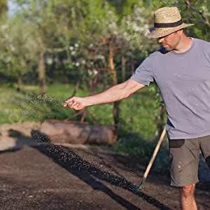 Crimson Clover Seeds (Coated) - 1 oz - Garden Cover Crop, Non-GMO, Open Pollinated, Perennial, Heirloom - Coated for Easy Planting by GreenHaven Gardens
