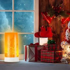 Bestview LED Flame Lights with Remote & Timer,4 Modes USB Rechargeable Battery Operated Fire Flickering Flameless Candles Campfire Table Lamp for Halloween,Christmas,Indoor&Outdoor Decoration (2 Pack) by GreenHaven Gardens