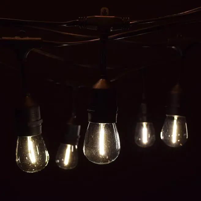 Hometown Evolution, Inc. 100 Foot E26 LED Outdoor Commercial String Lights with 50 Suspended Sockets and S14 LED Filament 1 Watt Bulbs by GreenHaven Gardens