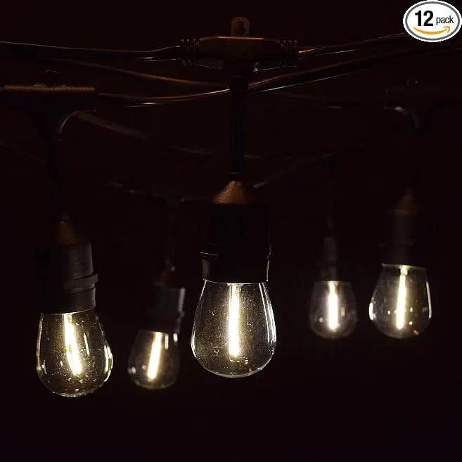 Hometown Evolution, Inc. 24 Foot E26 LED Outdoor Commercial String Lights with 12 Suspended Sockets and S14 LED Filament 1 Watt Bulbs by GreenHaven Gardens