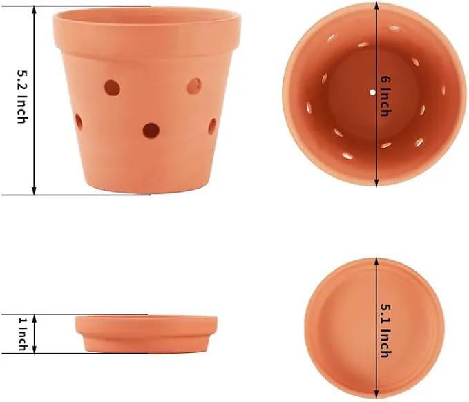 Fcacti 6 Inch Terracotta Orchid Pots with Drainage Holes and Saucers - 6 Pack Small Clay Orchid Planter Pots for Repotting, Plant Flower Pots for Orchid Indoor/Outdoor Promotes Air Circulation by GreenHaven Gardens