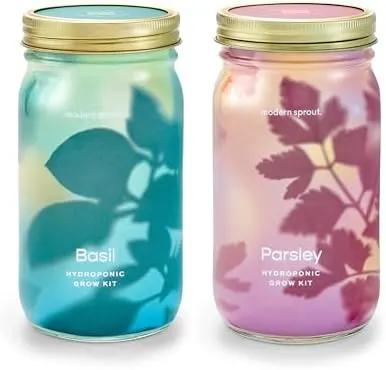 Modern Sprout Mason Garden Jar - Self-Watering Hydroponics Growing System Kit with Organic Herb Seeds - Jar Planter for Indoor Herb Garden - Seed Starter Kit - Home Decor & Gifting - Basil+Parsley by GreenHaven Gardens