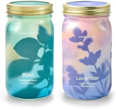 Modern Sprout New & Improved Mason Jar Grow Set, Indoor Herb Garden, Seed Starter Set, Organic Seeds, Hydroponic Growing (Basil + Lavender) by GreenHaven Gardens