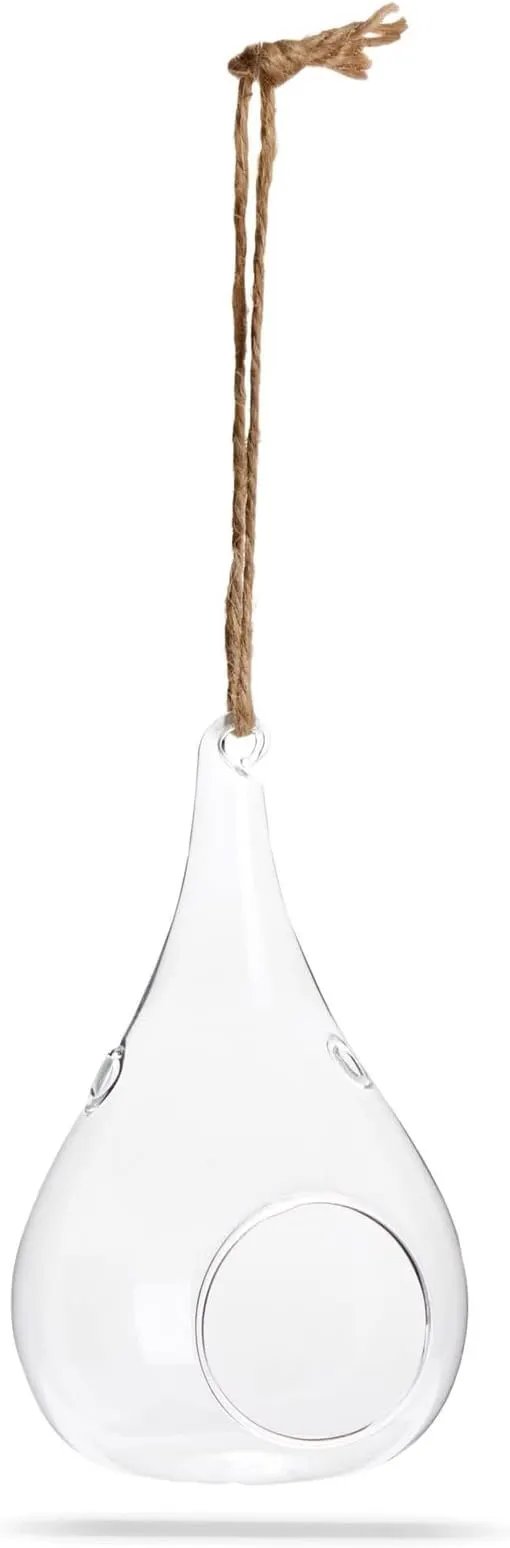 Juvale 5-Pack Hanging Glass Terrarium Containers - Air Plant Holder, Succulent Planter, Tea Light Candle Hangers (3.5x5 in) by GreenHaven Gardens