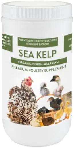 Organic Kelp for Chickens & Duck Feed (1 Pound): Chicken Vitamins | Chicken Supplements | Vitamins for Chickens | Pampered Chicken Mama by GreenHaven Gardens