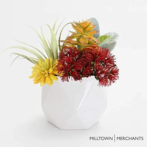 Milltown Merchants Succulent Wall Planters - White Ceramic Mounted Planters - Succulent Pots - Hanging Vases for Living Wall (1 Pack/Geometric/White) by GreenHaven Gardens