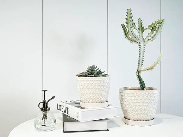 Docrin Ceramic Plant Pots Indoor: 6.6 + 5.5 Inch Planters with Drainage Holes and Saucer for Home/Office - Set of 2 /Milky White Honeycomb by GreenHaven Gardens