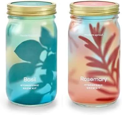 Modern Sprout Mason Garden Jar - Self-Watering Hydroponics Growing System Kit with Organic Herb Seeds - Jar Planter for Indoor Herb Garden - Seed Starter Kit - Home Decor & Gifting - Basil+Rosemary by GreenHaven Gardens