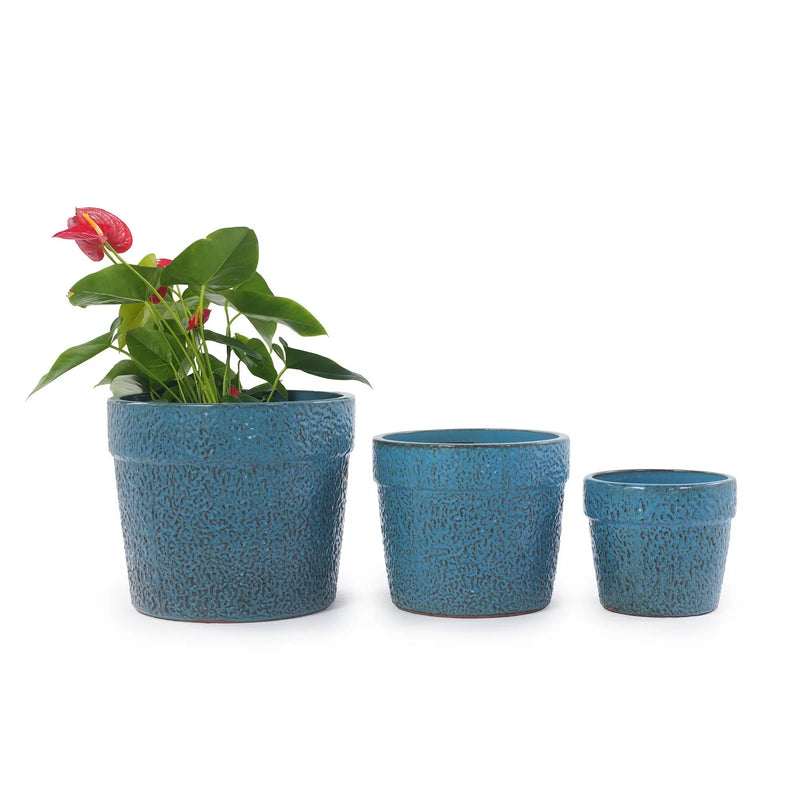 Handmade Ceramic Planter Set of 3 by HouseOfZazla