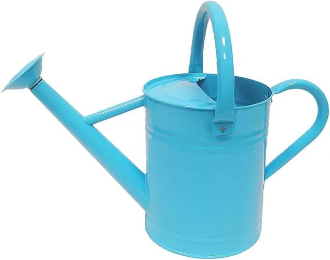 Metal Watering Can for Outdoor and Indoor Plants, Watering Can Decor, 1 Gallon (Blue) by GreenHaven Gardens