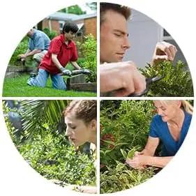 Voilamart 12 Pcs Gardening Bonsai Tool Sets Carbon Steel Garden Plant Trimming Kit Scissor Cutter Shear Heavy Duty Nylon Case Outdoor Entrenching Tools by GreenHaven Gardens