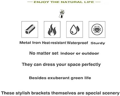 3 Leaves Style Metal Hanging Plant Brackets 12 inches x 7.5 inches, Pack of 2, Wall Mount Plant Hangers, Planter Hooks for Flower Baskets, Bird Feeders in Corridor/Patio/Porch/Garden by GreenHaven Gardens
