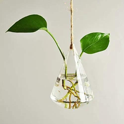 Glass Hanging Planters Indoor Outdoor Plant Pots Water Plant Containers Flower Pots Glass Terrariums Wall Vases 3 Pieces by GreenHaven Gardens