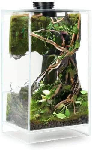 Desktop Glass Plant Terrarium with Grow Light(L7.8 W7.8 H14), for Succulent, Moss, Miniature Gardening Landscape, Betta Fish Tank, Indoor Plant Growth, Office Home Decoration (TimeControlled) by GreenHaven Gardens