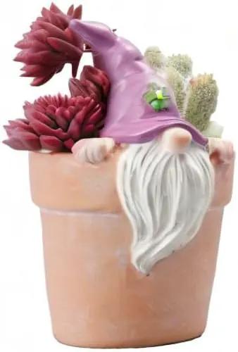 Newman House Studio Spring-Gnomes Flower-Pots Easter Decorations Cactus-Succulents - Easter Decorative Purple Planter Pots Unique Garden Pots with Drainage Hole for Indoor Outdoor 3 x 3.5 x 5 inch by GreenHaven Gardens