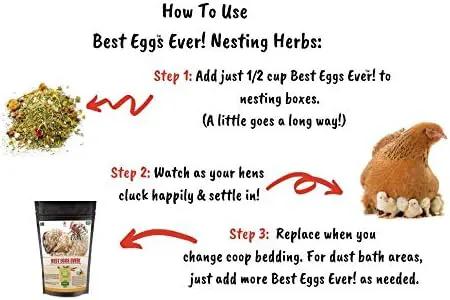 Pampered Chicken Mama Best Eggs Ever! Nesting Herbs for Chickens (4 Pounds) Calcium Supplement for Chickens | Chicken Feed Supplies, Hen Treats for Coops by GreenHaven Gardens