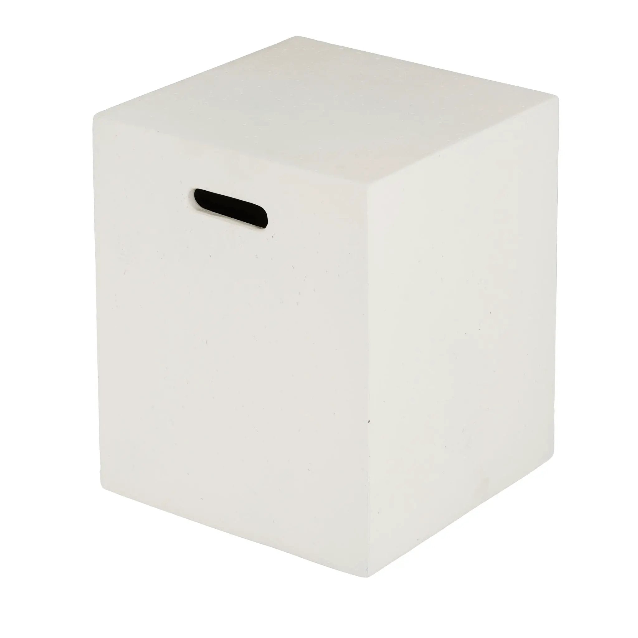 Modern Tank Holder Side Table With Smooth Concrete Surface by HouseOfZazla