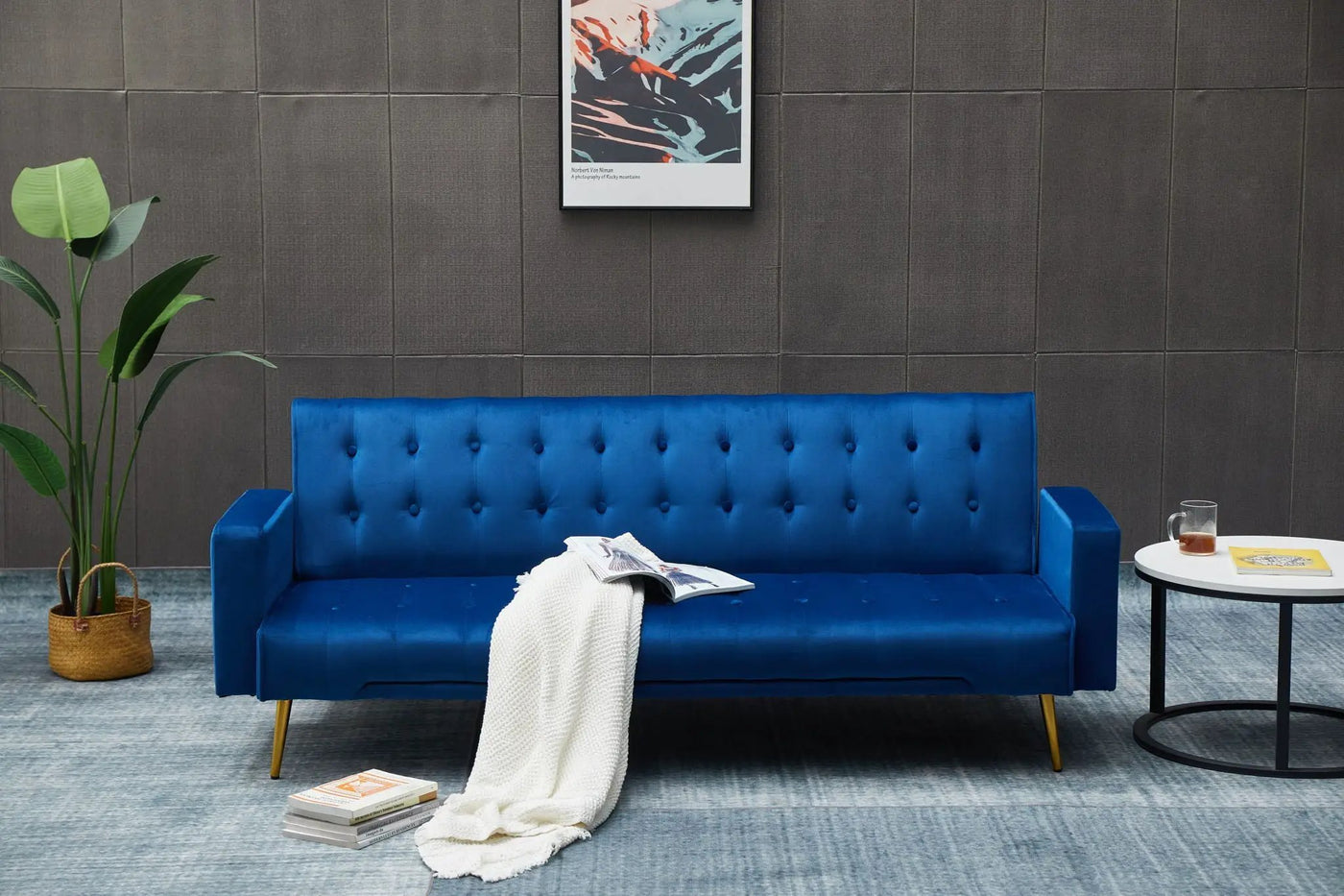 Comfort Compact Design Sofa Bed by HouseOfZazla
