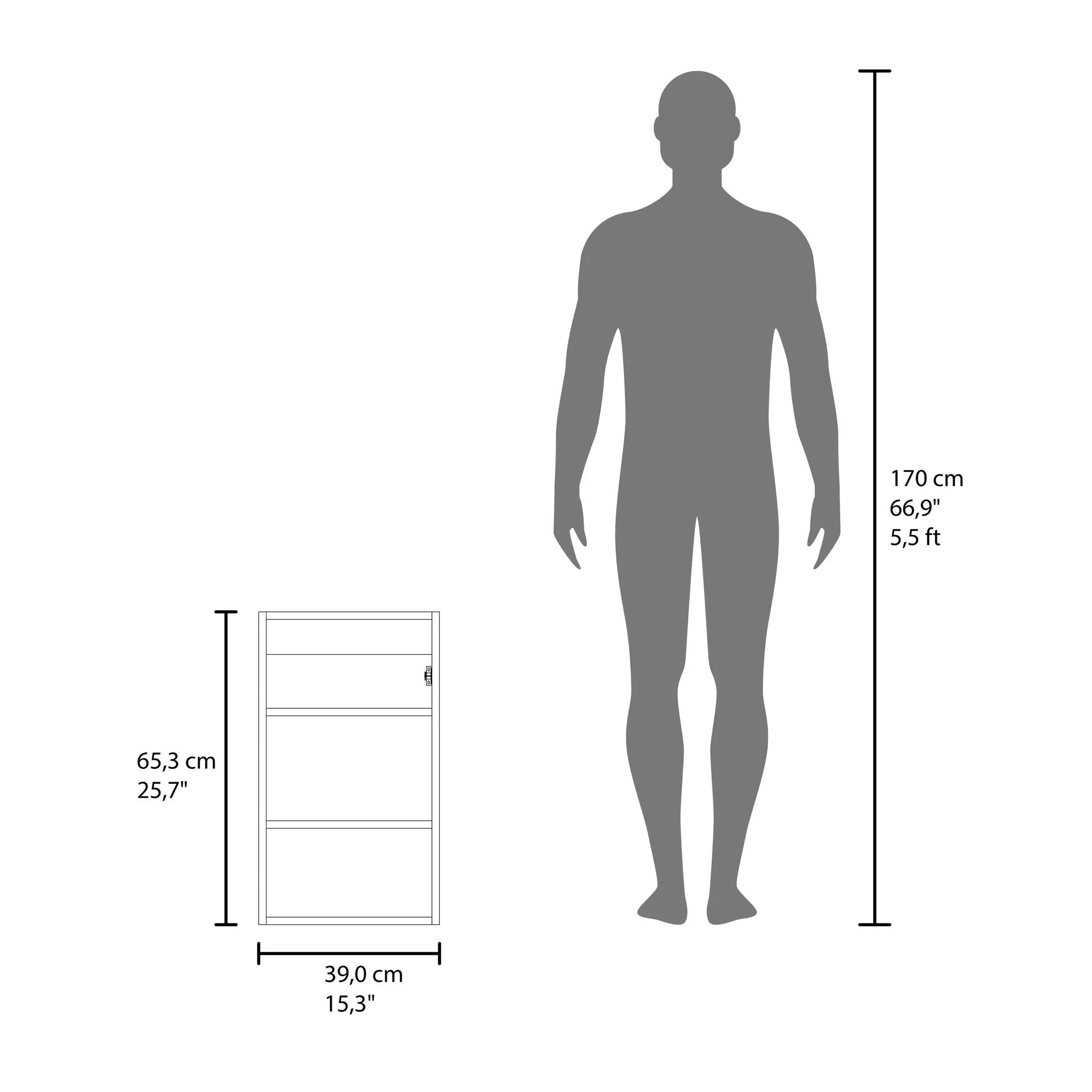 Medicine Cabinet 25.7" H, 1 Door, 3 Shelves, 1 Mirror by HouseOfZazla