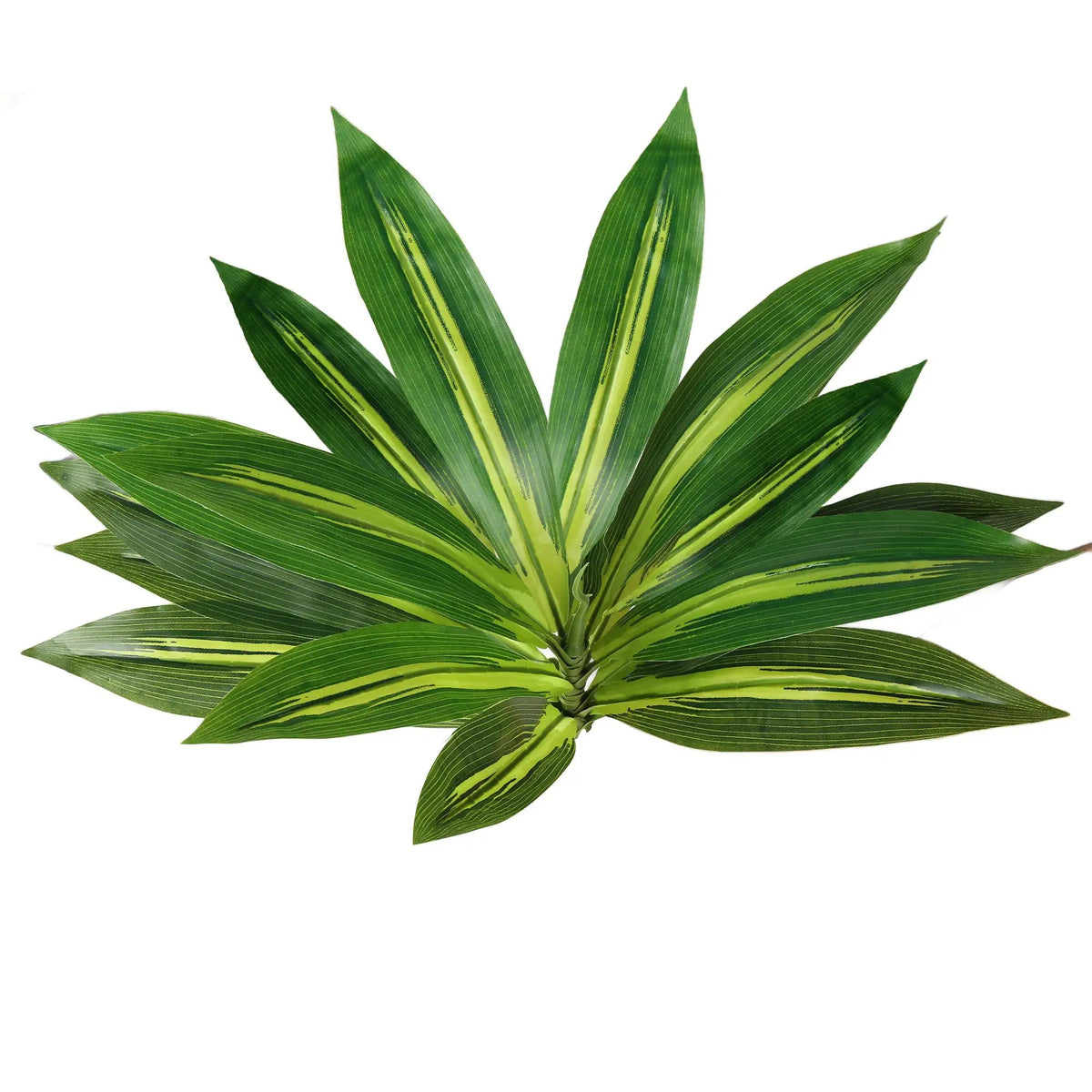 Dracaena Artificial Plant Indoor - 5.5FT by HouseOfZazla