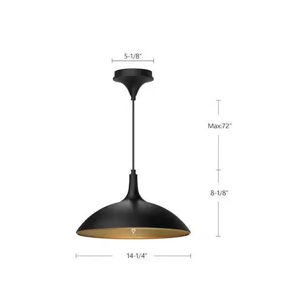 Open Box ALORA MOOD Abel 14 in. 1 Light 60-Watt Brushed Gold Pendant Light by Selzalot
