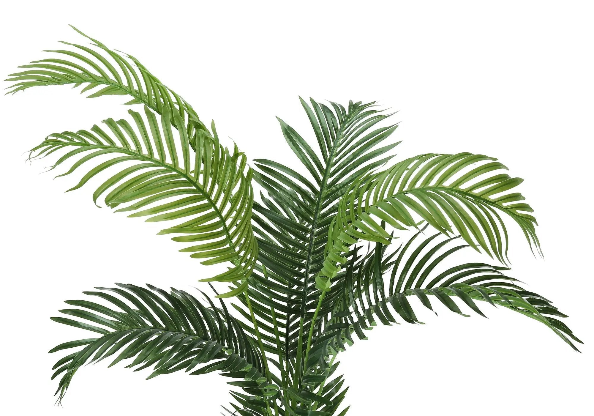 57" Tall, Artificial Plant, Palm Tree, Indoor, Faux, Fake, Floor, Greenery, Potted, Real Touch, Decorative - Green / Black by Unique Piece Furniture