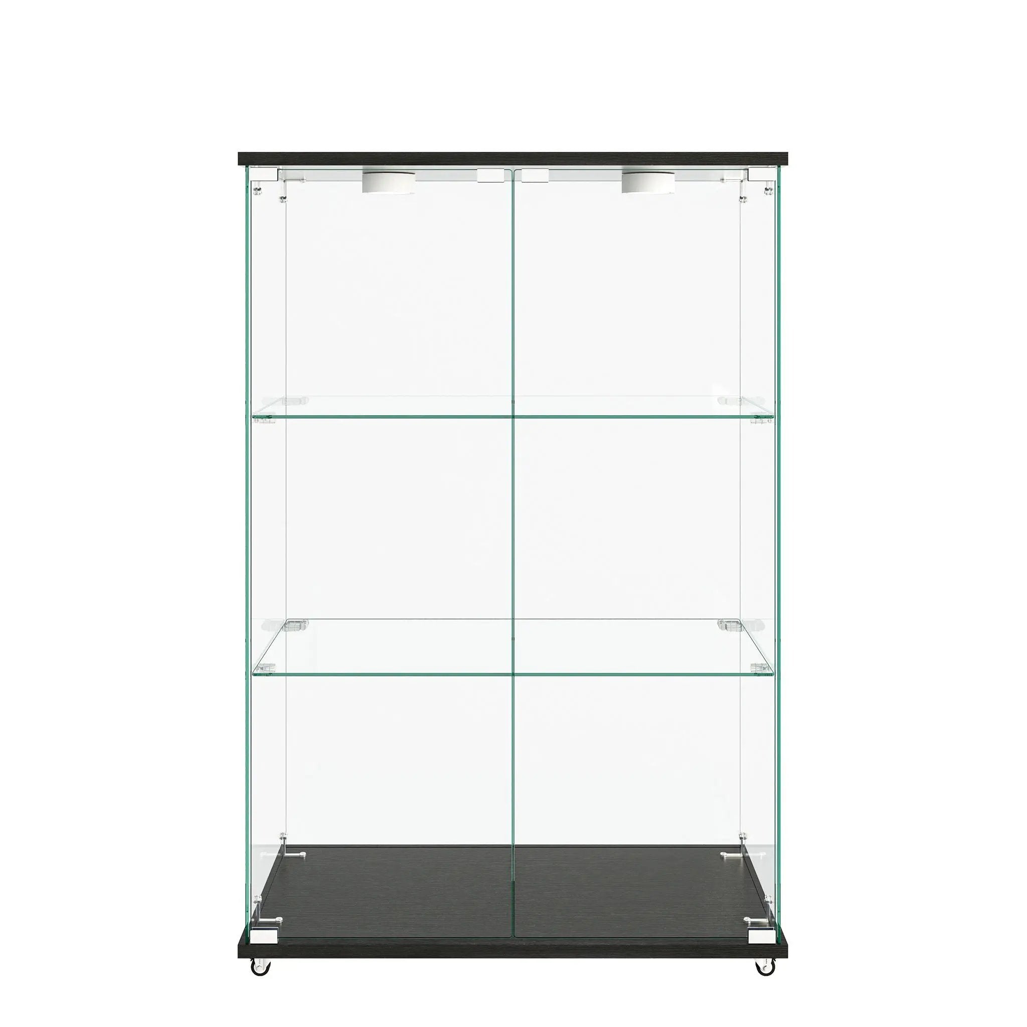 Modern Display Cabinet With LED Lights, Transparent Tempered Glass 2 Door Storage Case With 3 Shelves by HouseOfZazla