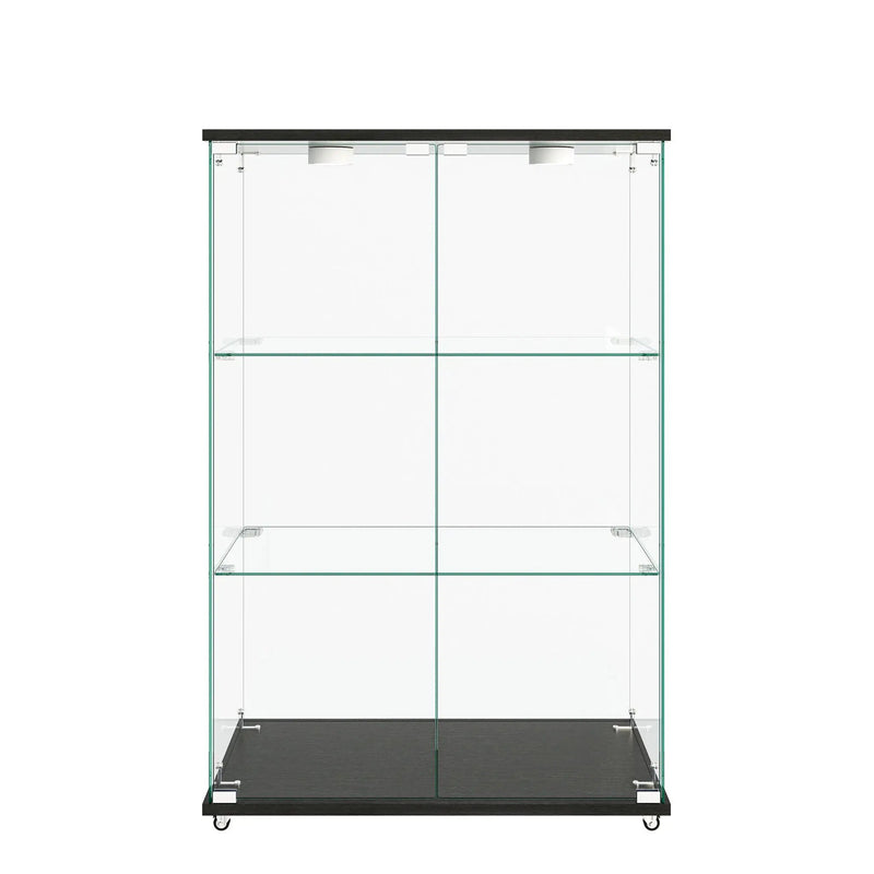 Modern Display Cabinet With LED Lights, Transparent Tempered Glass 2 Door Storage Case With 3 Shelves by HouseOfZazla