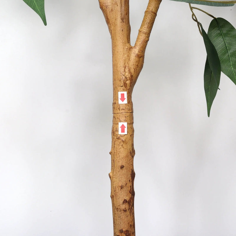 6Ft Artificial Ficus Tree With Natural Trunk In Pot For Indoor Home Office Decor - Green Leaves by Unique Piece Furniture
