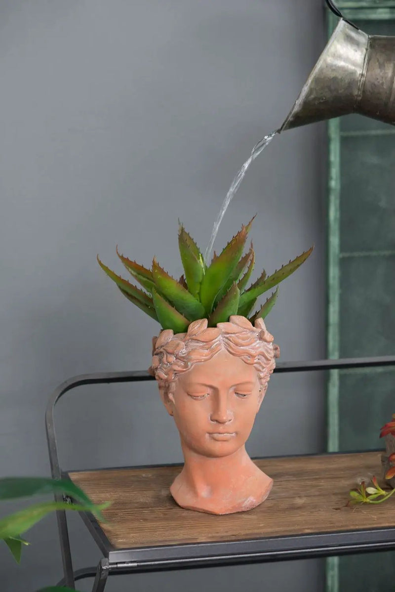 D7X11" Visage Head Bust Planter - Brown by HouseOfZazla