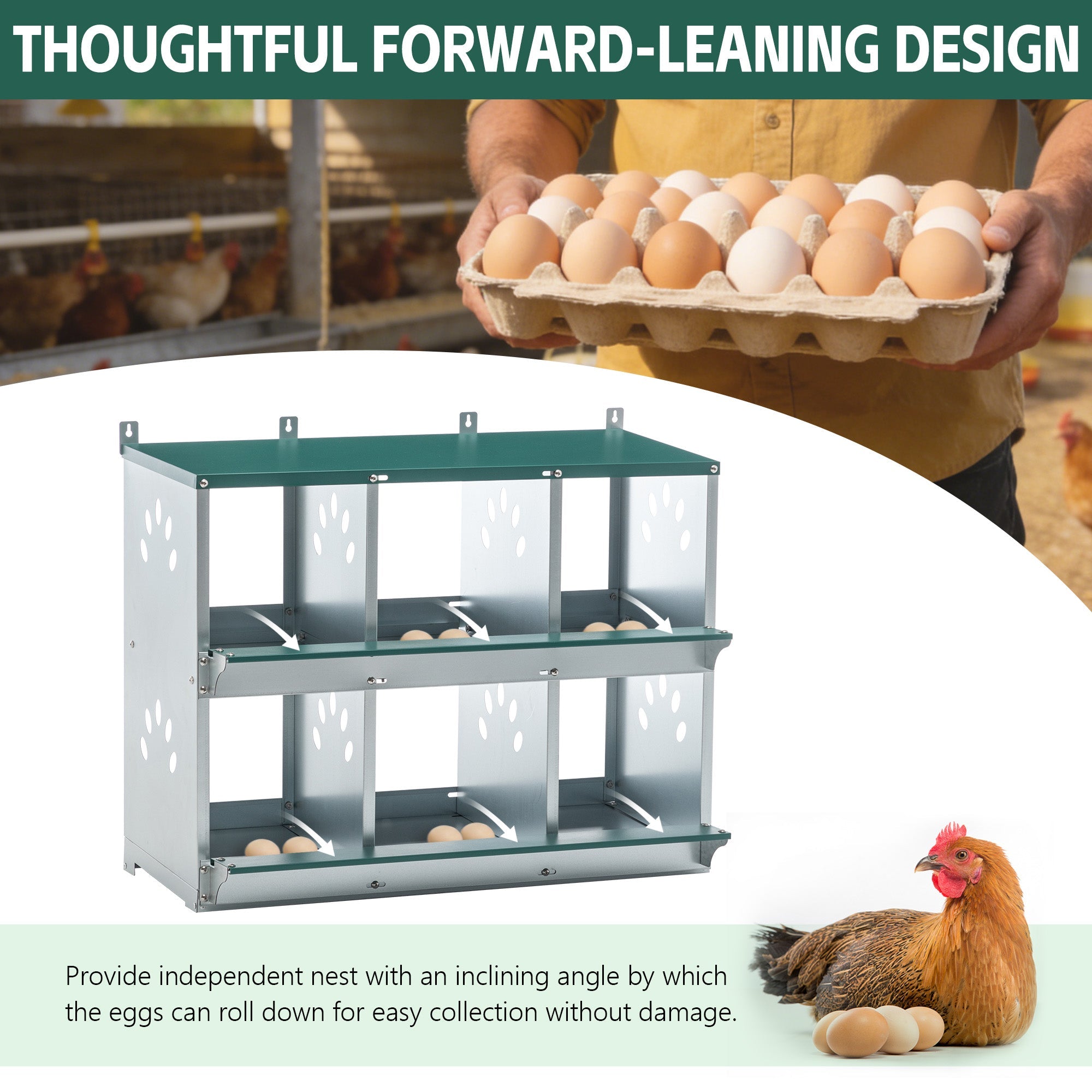 Chicken Nesting Box, 6 Room Metal Nesting Boxes for Chicken by HouseOfZazla