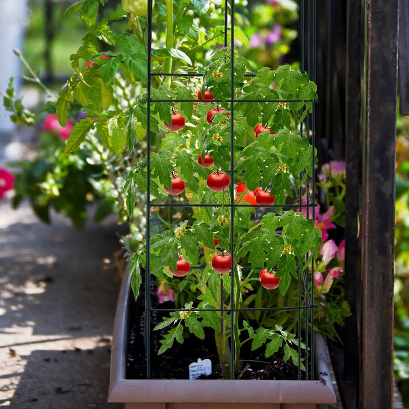 4 Pack Garden Trellis for Climbing Plants for Flower Vegetable by DirectDeals