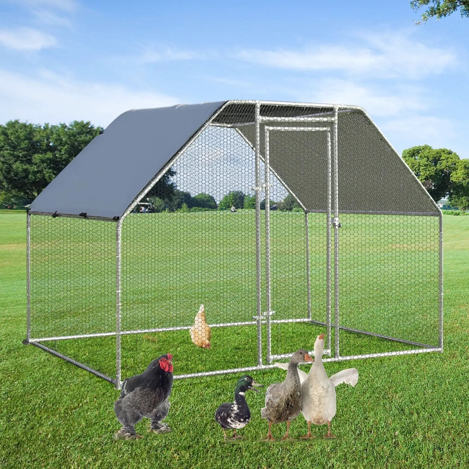 9.5 x 6.5 Feet Large Walk In Chicken Run Cage by DirectDeals