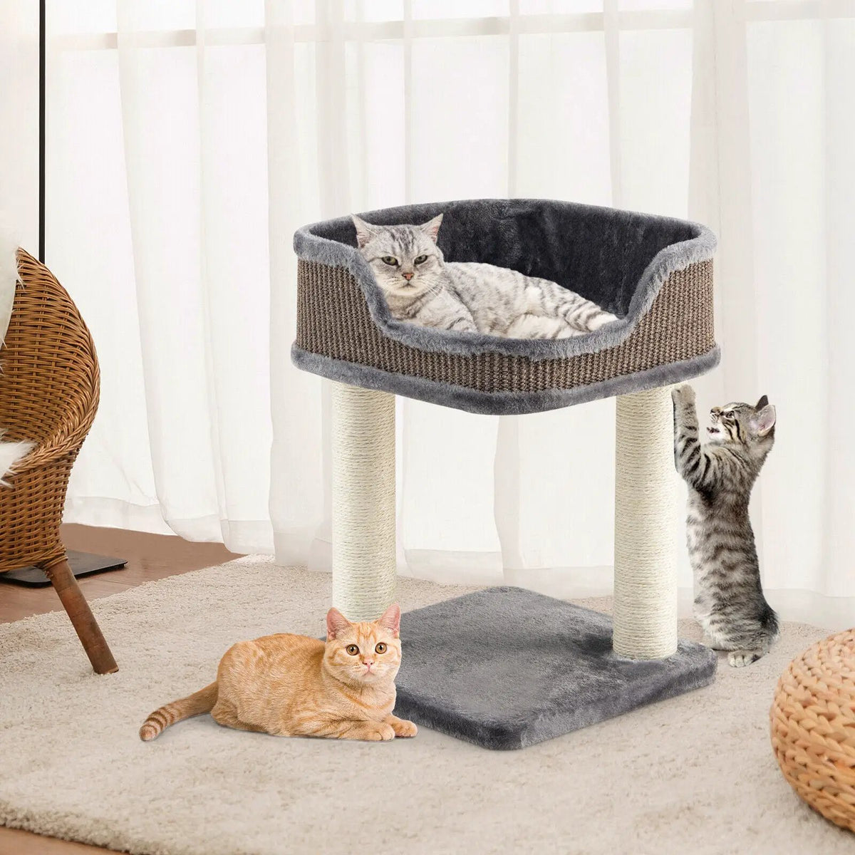 Multi-Level Cat Climbing Tree with Scratching Posts and Large Plush Perch, photo 6 of 9