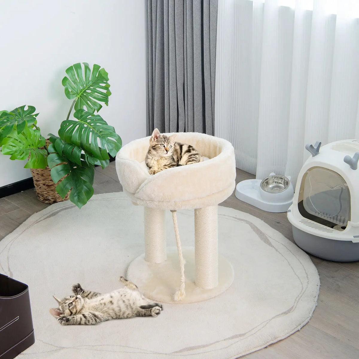 Cat Climbing Tree with Plush Perchs and Scratching Post