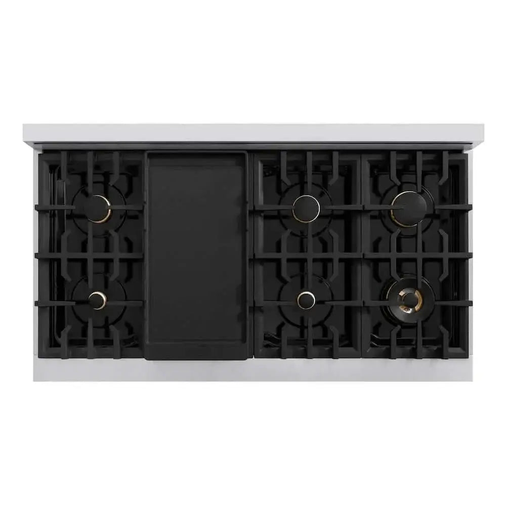 ZLINE 48" Select Gas Range Convection Gas Oven Stainless Steel Brass Burners HGR-BR-48 by Farmhouse Kitchen and Bath