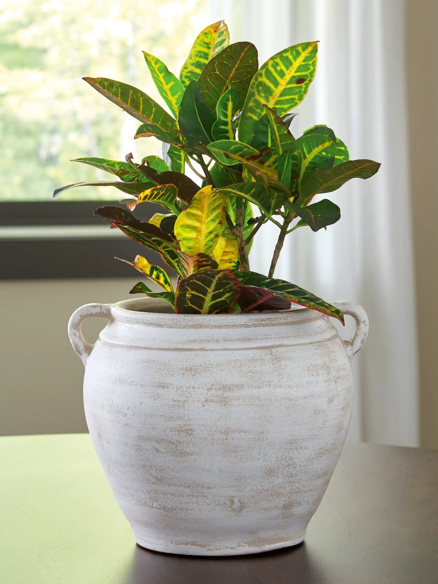 Meadie - 9" Vase by Unique Piece Furniture