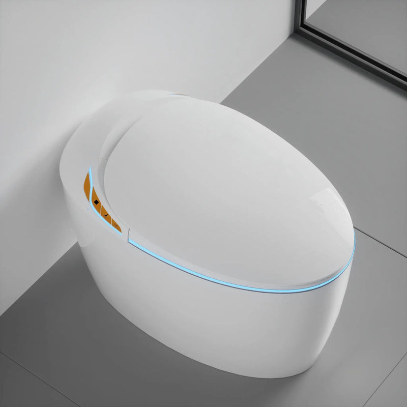 Unique Smart Toilet with Built-in Bidet by HouseOfZazla