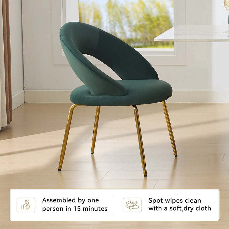 Velvet Fabric Dining Chair with Curved Backrest and Golden Metal Legs by HouseOfZazla