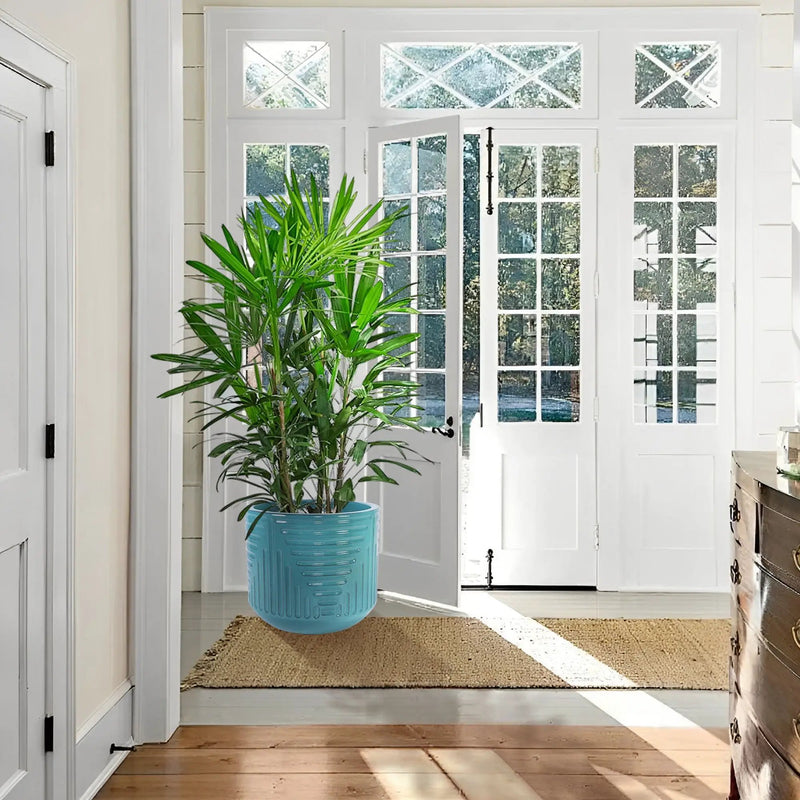Versatile Flowerpot, Planter For Patio, Garden, Windowsill by Unique Piece Furniture