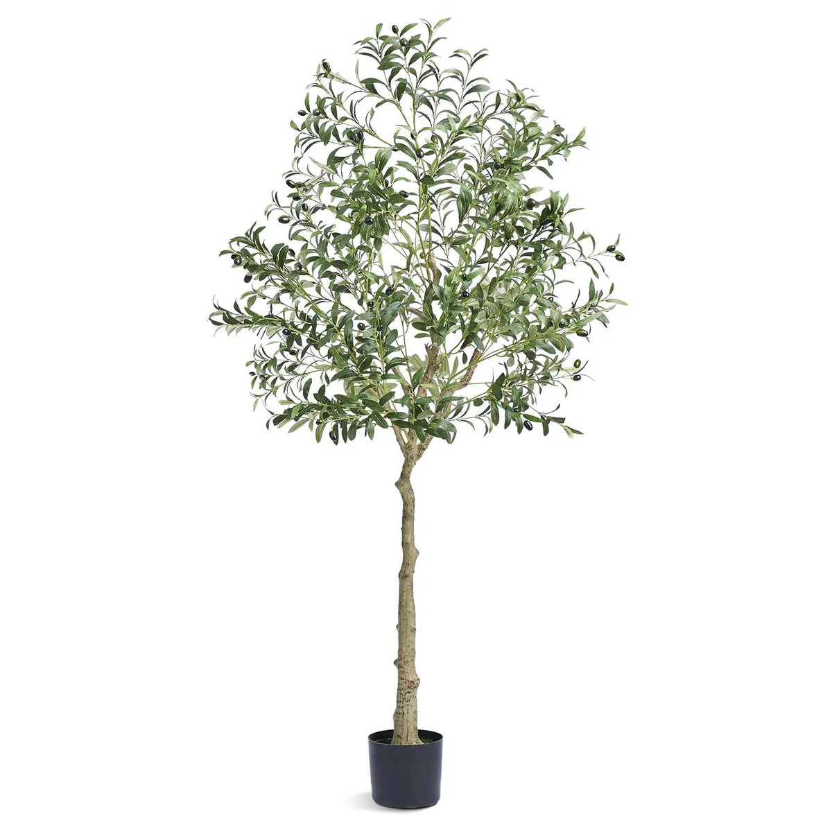 Artificial Olive Tree - 6 FT Tall Faux Plant by HouseOfZazla