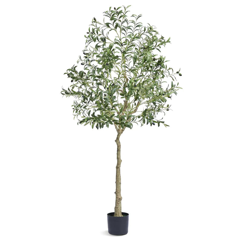 Artificial Olive Tree - 6 FT Tall Faux Plant by HouseOfZazla