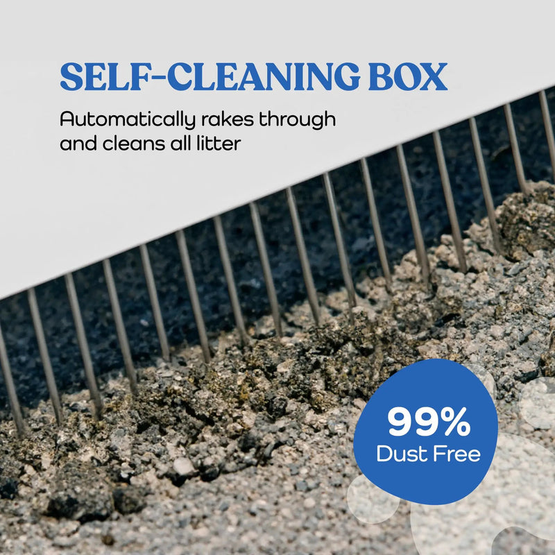 Smart Cat Litter Box with Wide Opening by HouseOfZazla