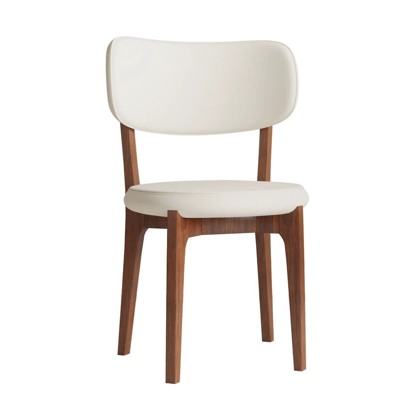 Modern Dining Chairs, Comfortable For Dining Room (Set of 2) - Orange by HouseOfZazla