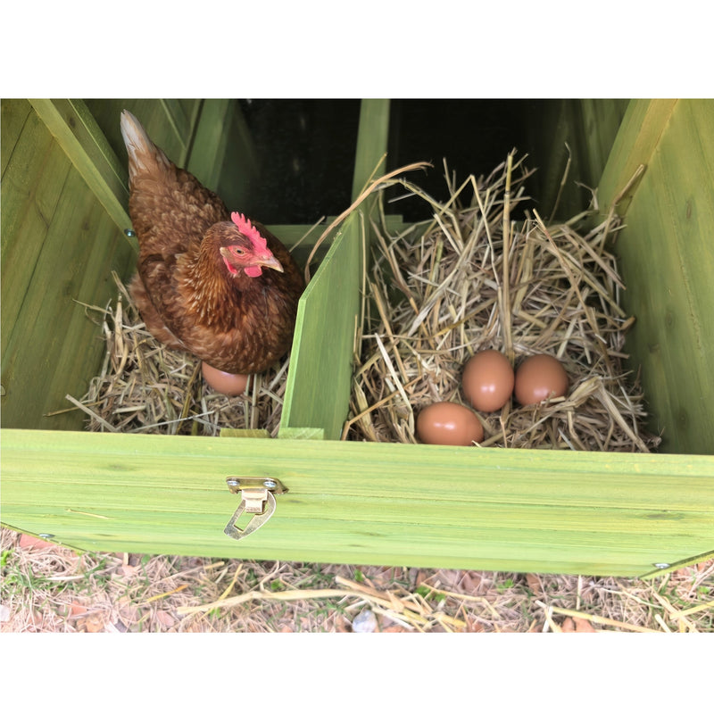 70" Automatic Chicken Coop with Solar-Powered Door by HouseOfZazla