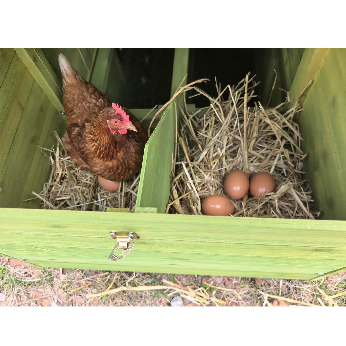 70" Large Wooden Chicken Coop with 2 Nesting Boxes and Waterproof Roof by HouseOfZazla