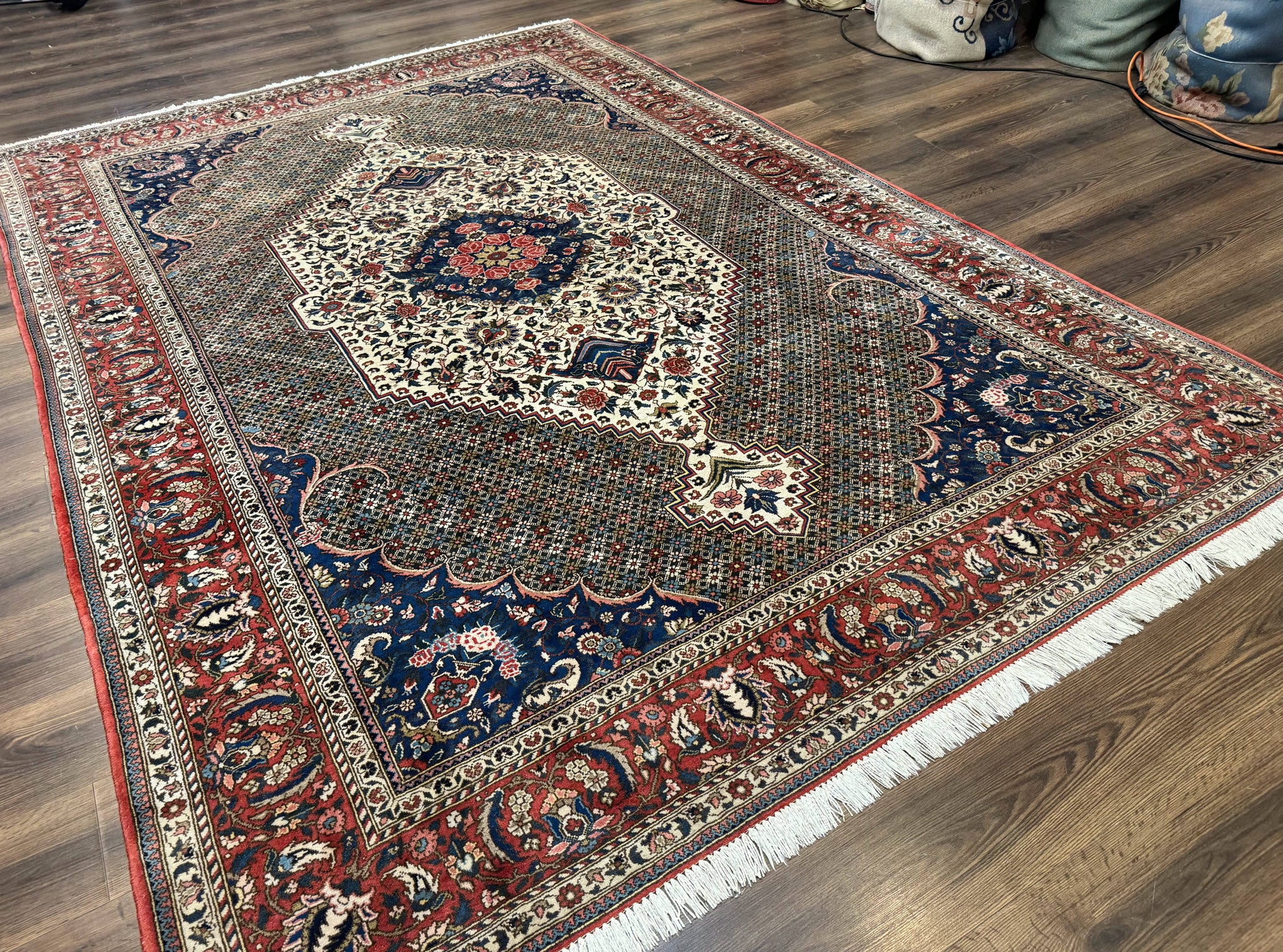 Persian Rug 7x10, Bakhtiari Saman Rug, Unique Design and Colors, Ivory Red Blue, Large Tribal Rug by Jewel Rugs